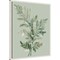 Tonal Green Ferns I by Elizabeth Medley Framed Canvas Wall Art